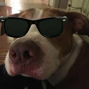 Fundraising Page: Stephanie Thomas